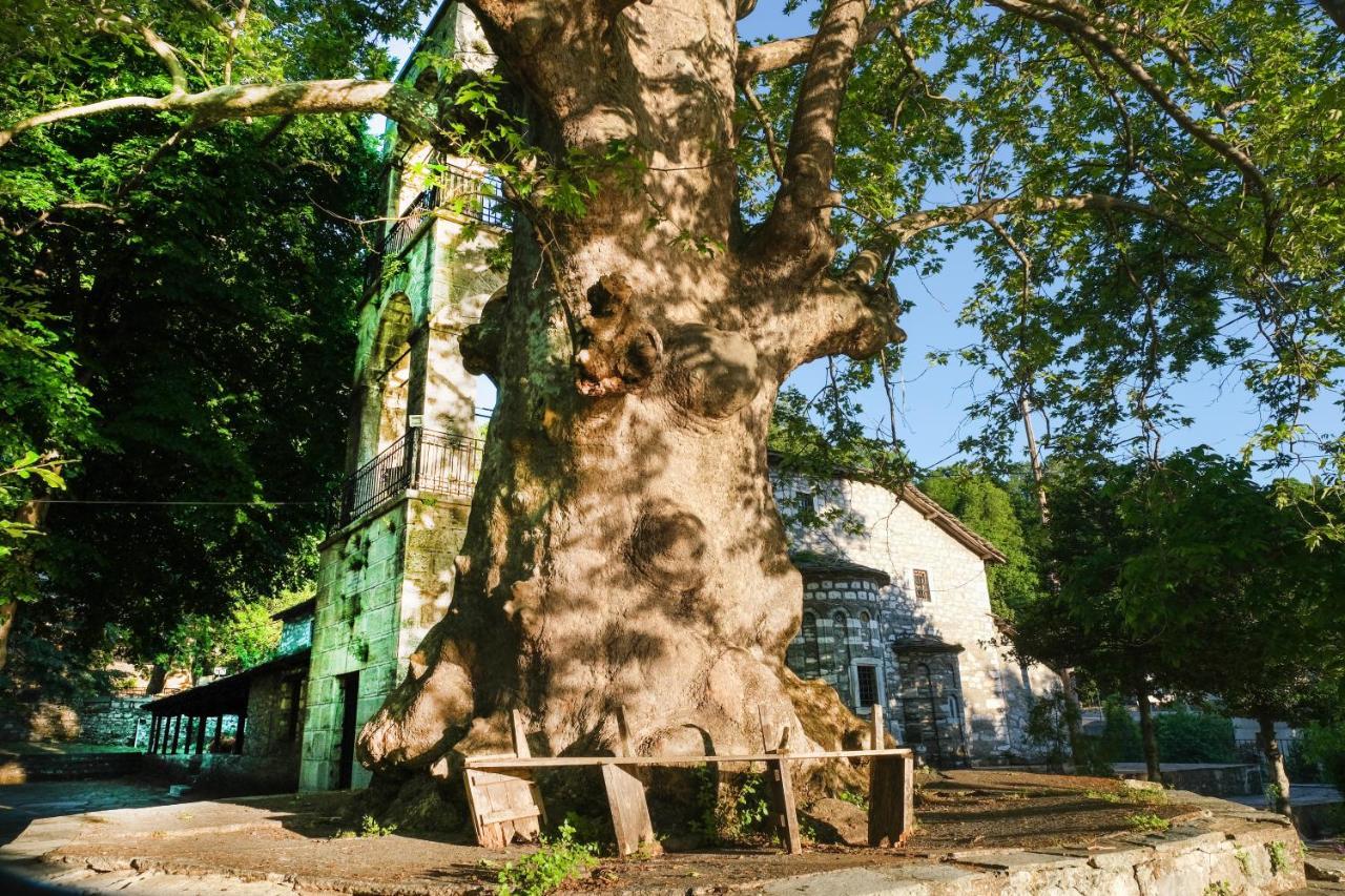 A Dream Deferred Villa Pelion Kissos  Eksteriør billede