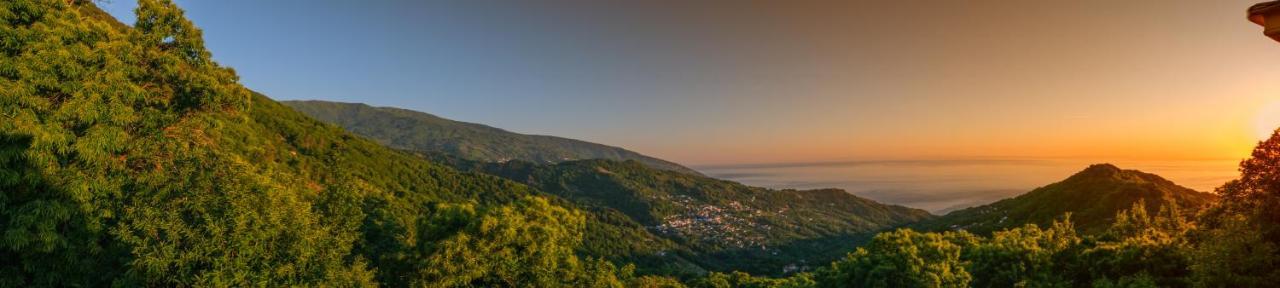A Dream Deferred Villa Pelion Kissos  Eksteriør billede